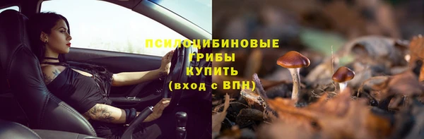 стафф Невель