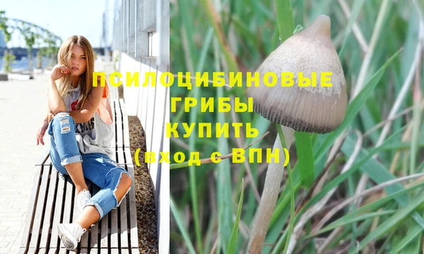 apvp Невельск