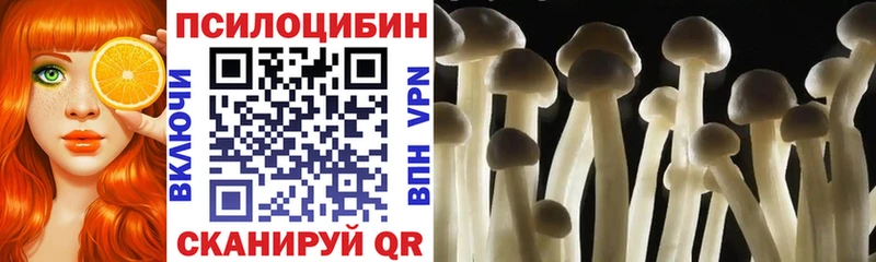 Галлюциногенные грибы ЛСД  Тихорецк 