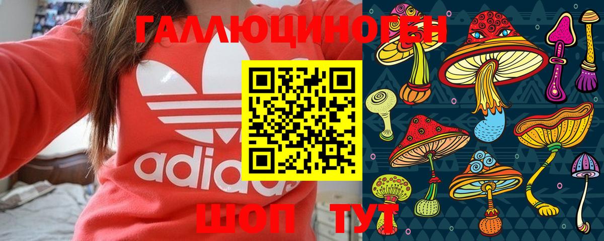 Псилоцибиновые грибы Psilocybe Тихорецк